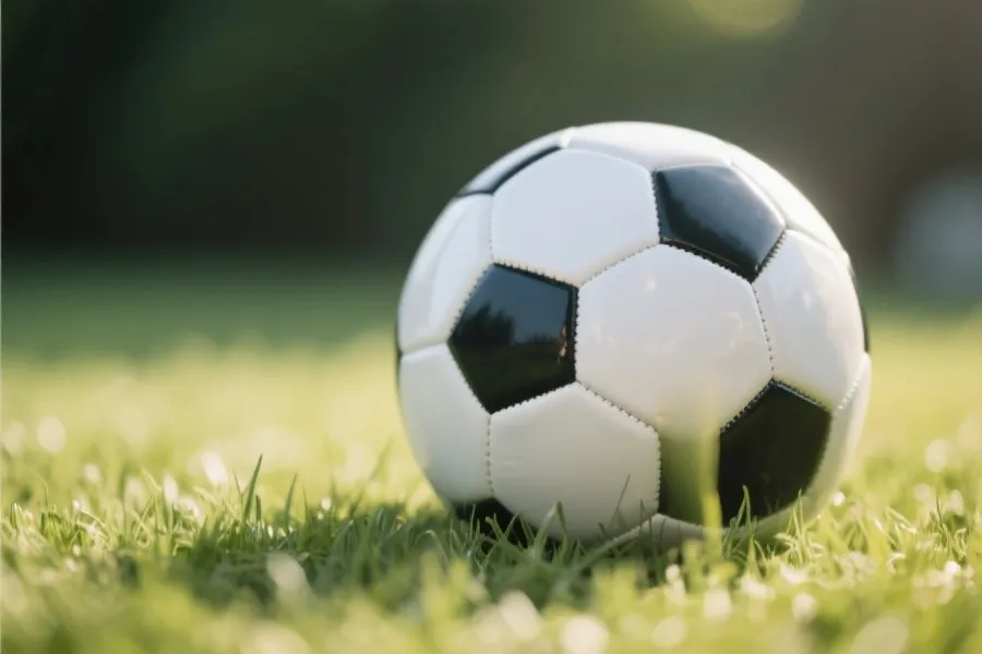 足球与草地示意图